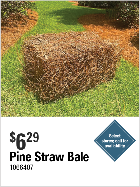 Pine Straw Bale